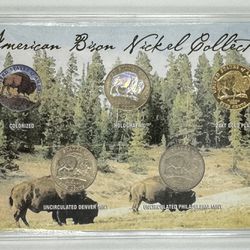 American Bison Nickel Collection In Plastic Case 
