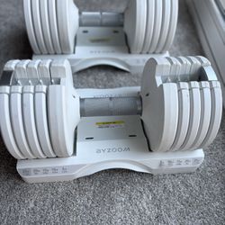 ByZoom Fitness Adjustable Weights 