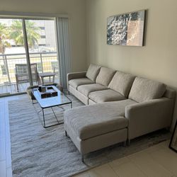 Couch And Rug For Sale