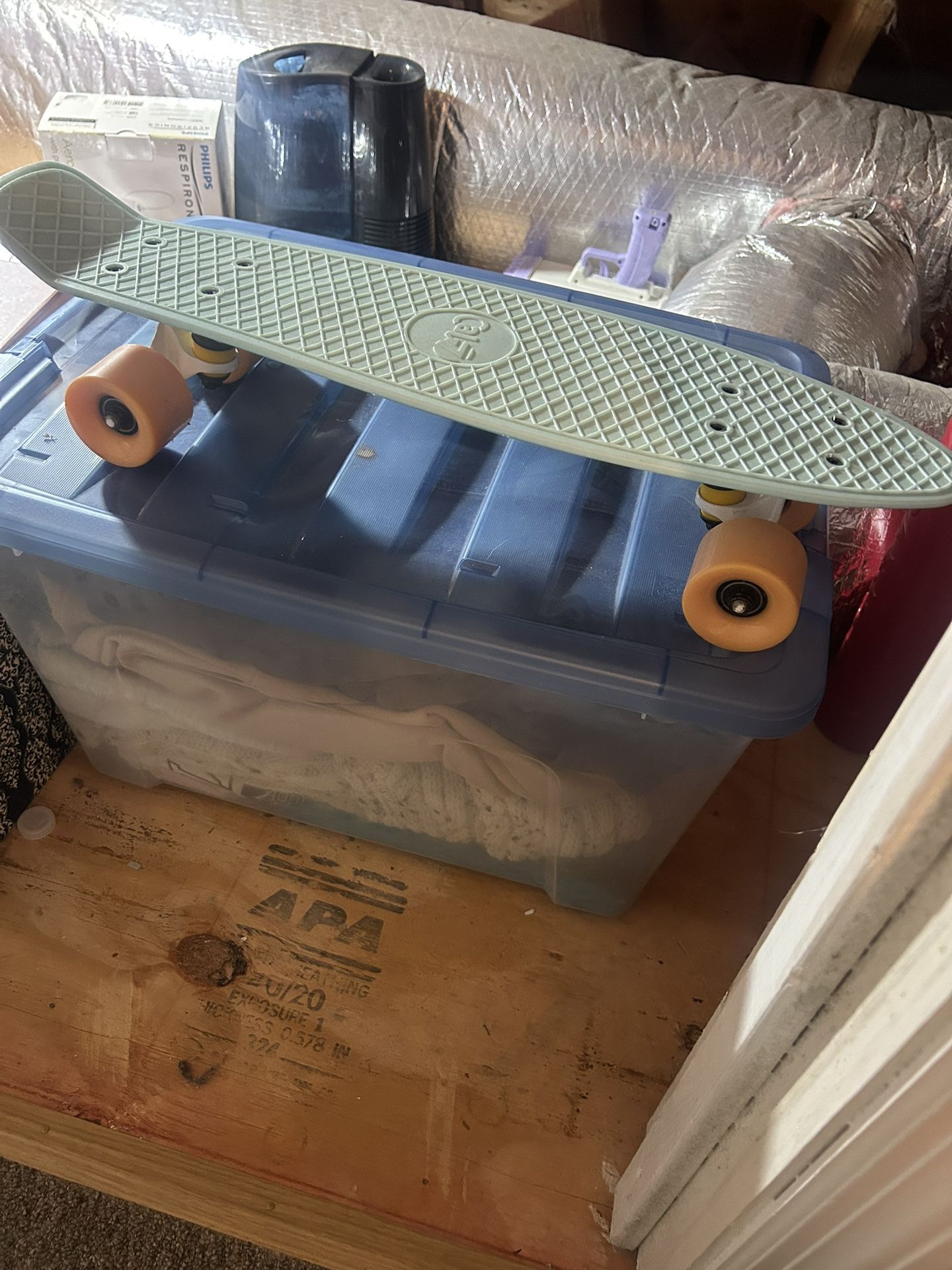 Skateboarder