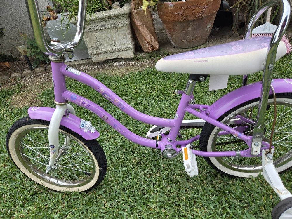 Small Bike Purple