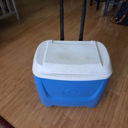 Cooler on Wheels