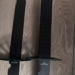 SWORDS
