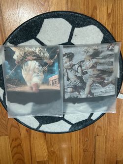 Vinyl Record Album Sleeves with Artwork – Set of 2