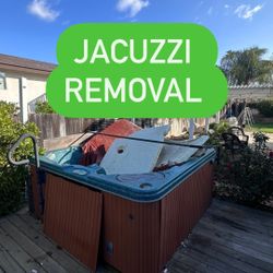 Jacuzzi Hot Tub 