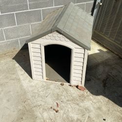 Dog House 