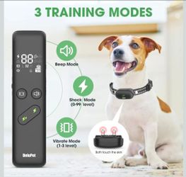 Delupet electric training collar set with a remote, designed for pets.