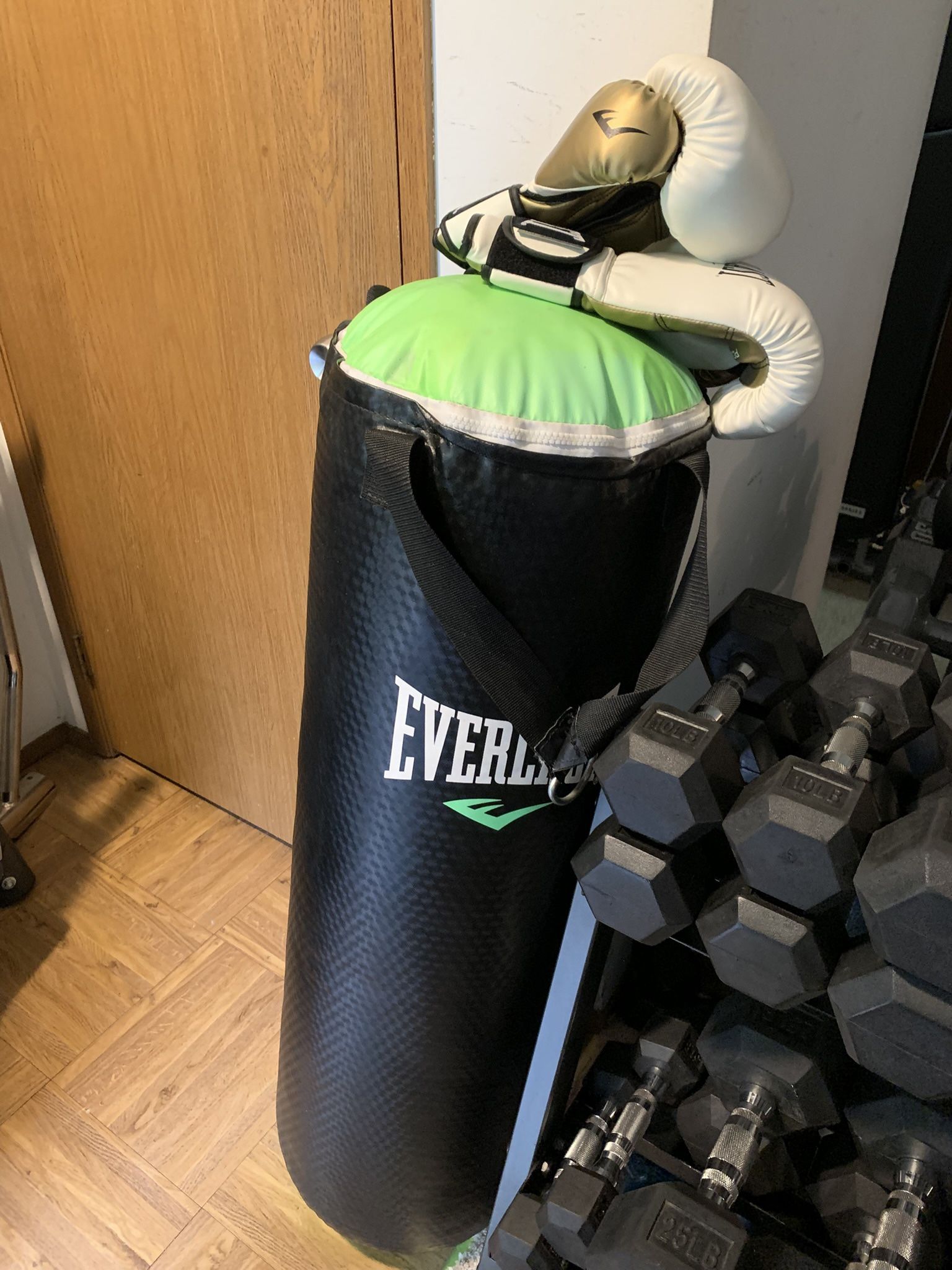 EVERLAST Punching Bag
