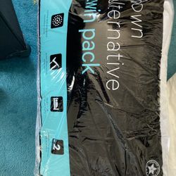 2 Down Pillows 