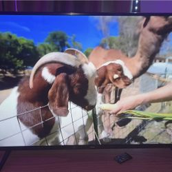 50’ TLC 4k Smart Tv