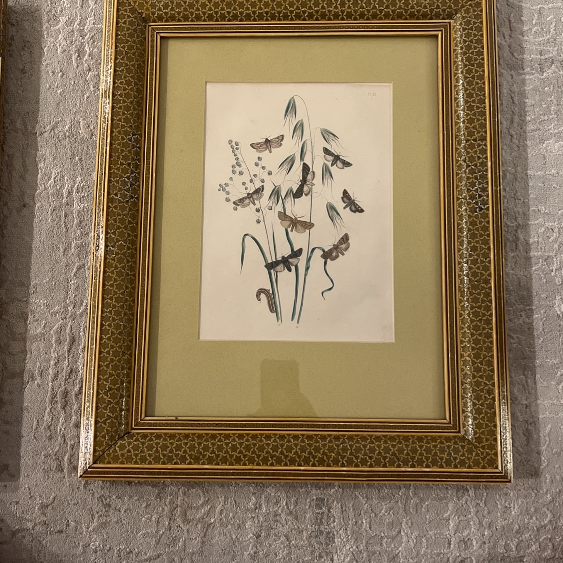 11x17 hand made butterfly frame