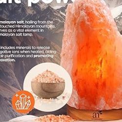 Rock Salt Lamp 