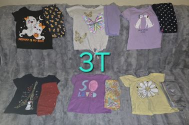 Girls Toddler Outfit Lot Size 3T