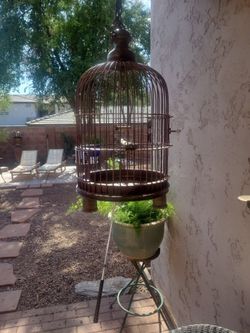  Antique Bird Cage
