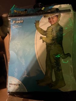 Dinosaur toddler costume