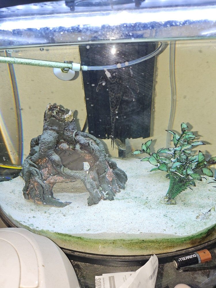 6 Gal Corner Tank