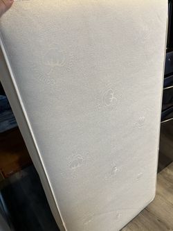 Sealy Baby Soybean Natural Rest Waterproof Standard Toddler & Baby Crib Mattress