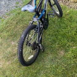 Blue mongoose bike 20"