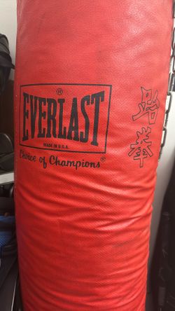 Everlast Punching / kick bag