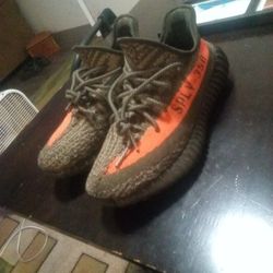 Yeezys 