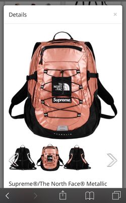 Supreme x the north face backpack