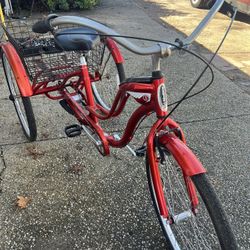 Adult Bike 