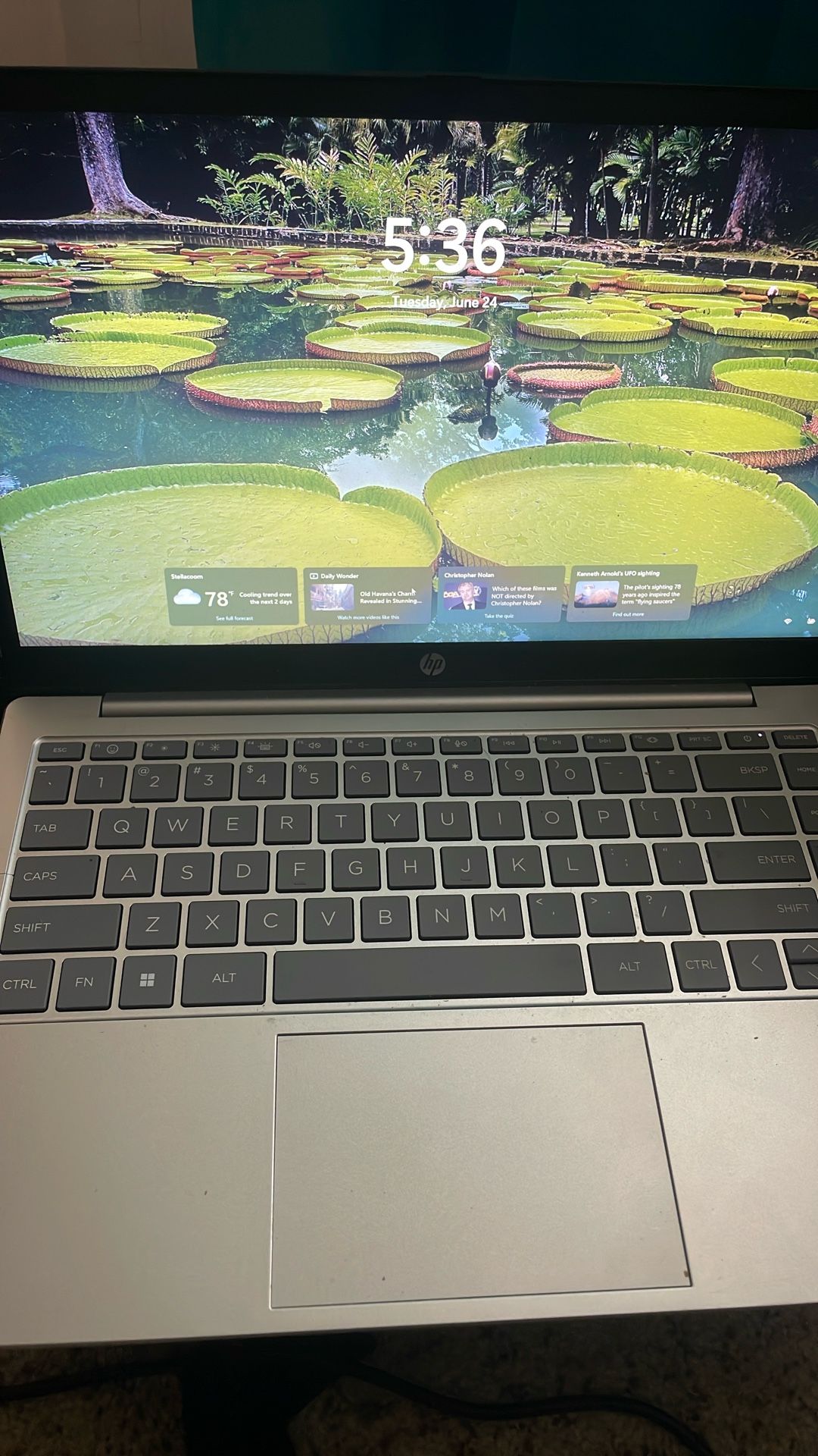 hp laptop