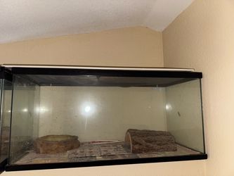 Reptile aquarium