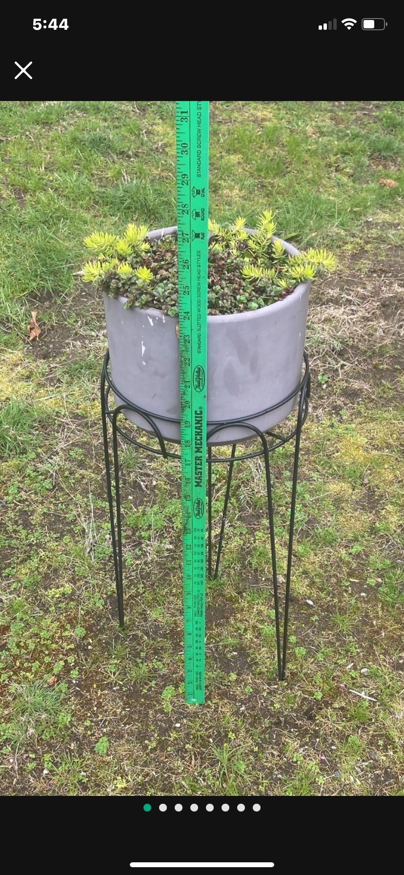 Sedums And Succulents In Brown Resin Pot On Black Metal Plant Stand