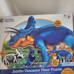 Double Sided Dino Puzzle