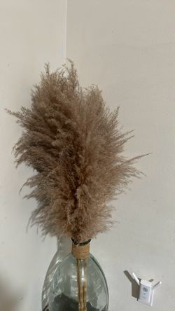 Pampas Decor