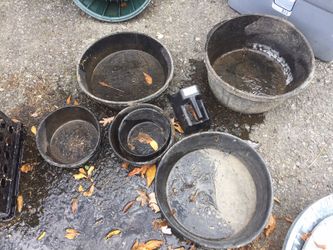 Animal buckets