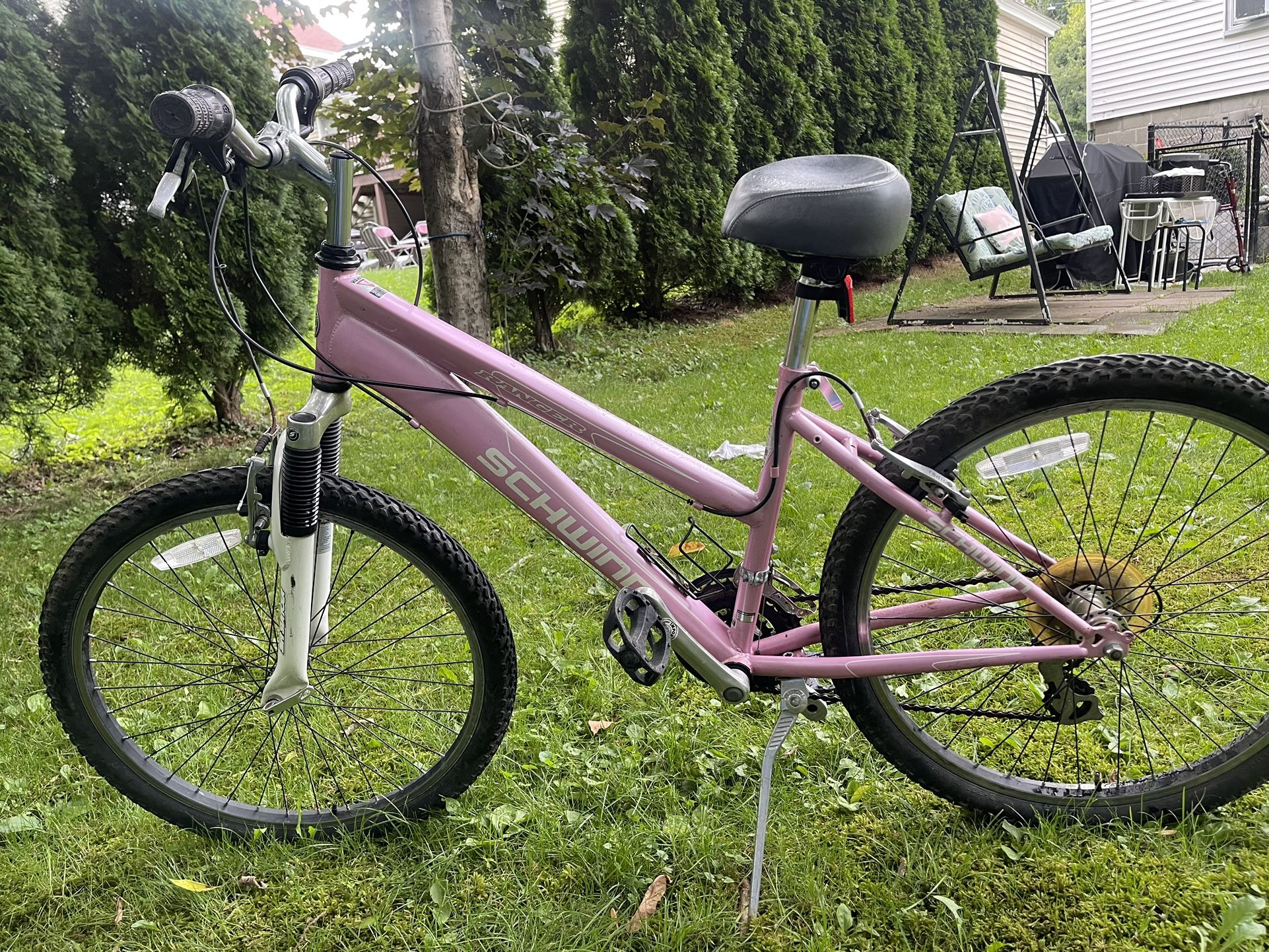 Adults Schwinn
