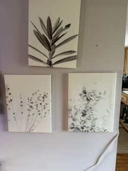 Wall Canvas(s)