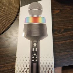 AdoraKaraoke 4-IN-1 Microphone 