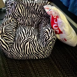 Big Joe Bean Bag Chair