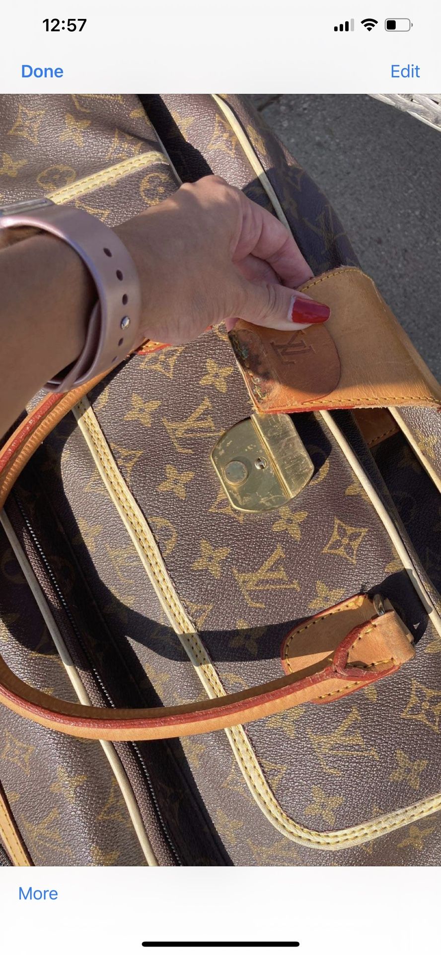Louis Vuitton garment bag
