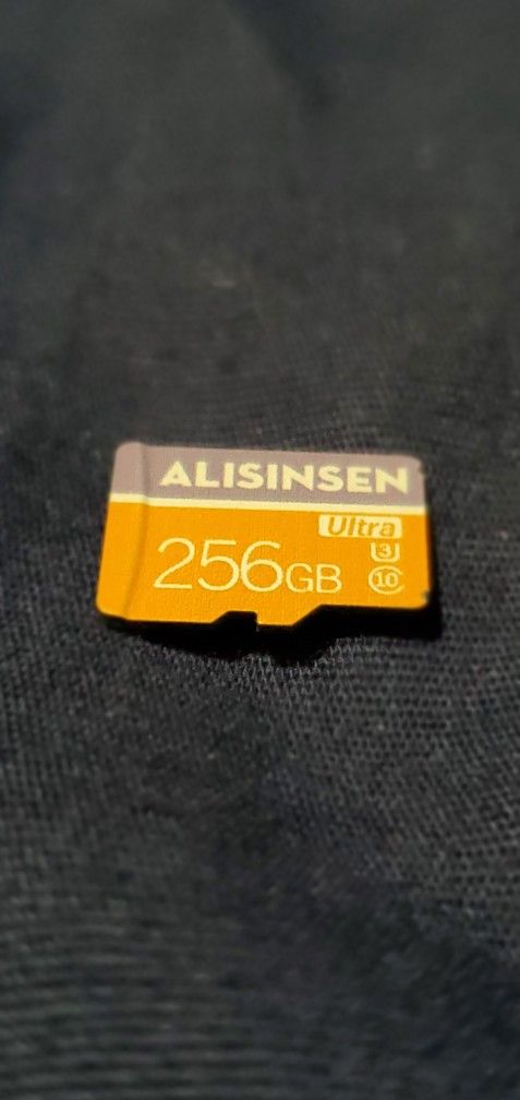 256GB Alisinsen SD CARD