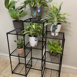 Metal Plant Stand For 9 