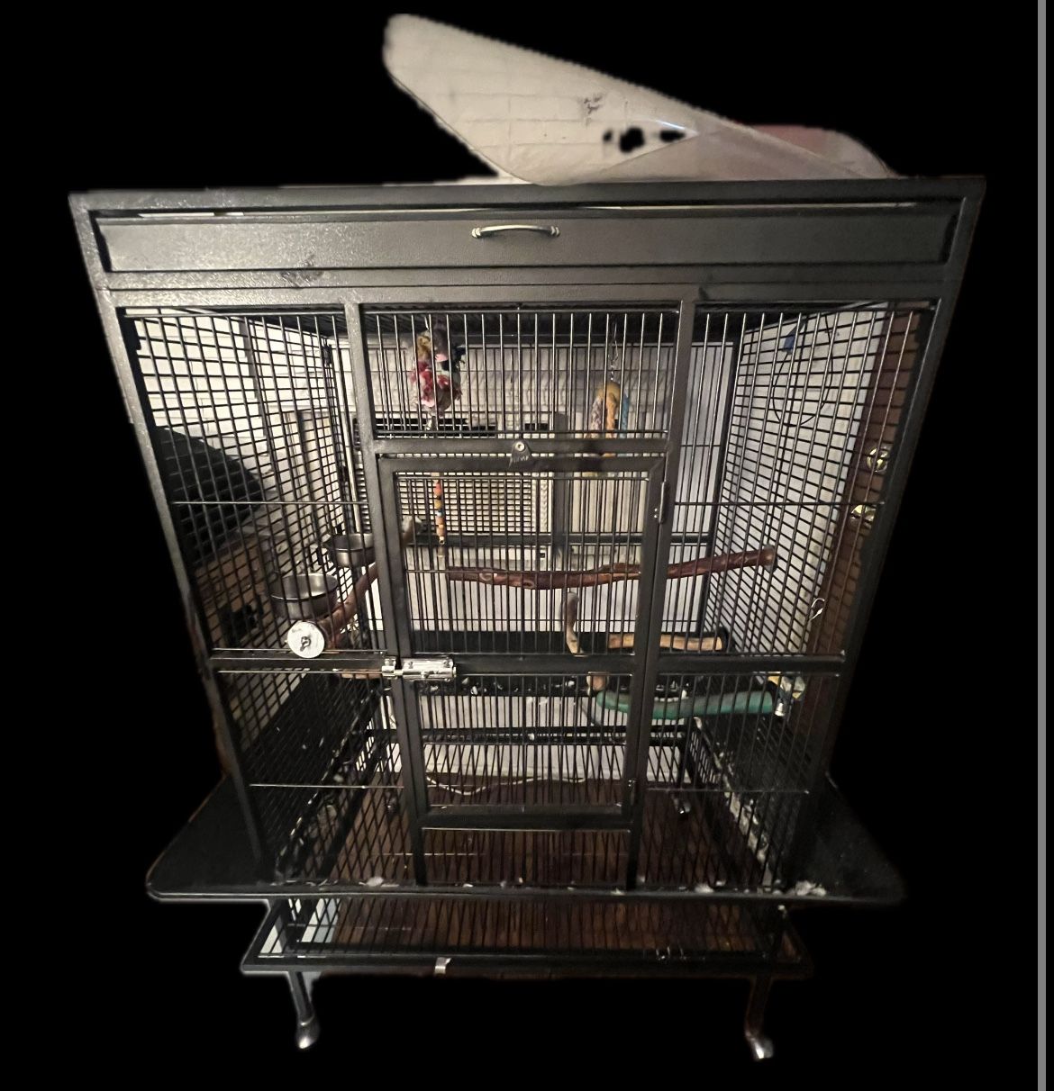 Bird Cage