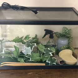 10 Gallon Reptile Tank Setup