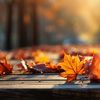 Seasonal Treasures
