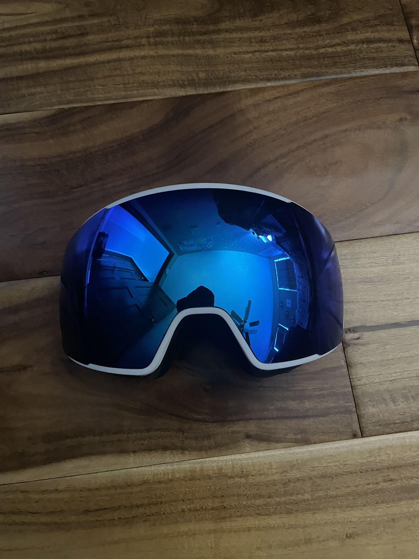 Ski Goggles