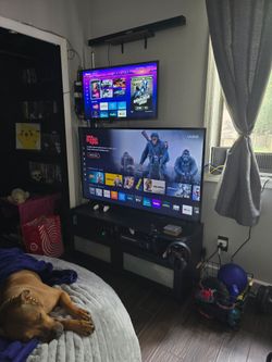 Entertainment Set Up