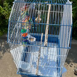 Bird With The Cage 