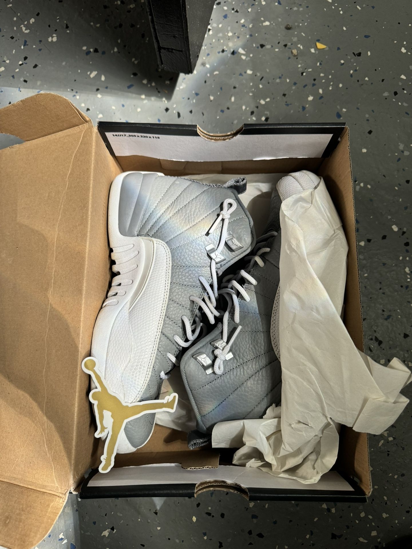 Air Jordan 12 Retro