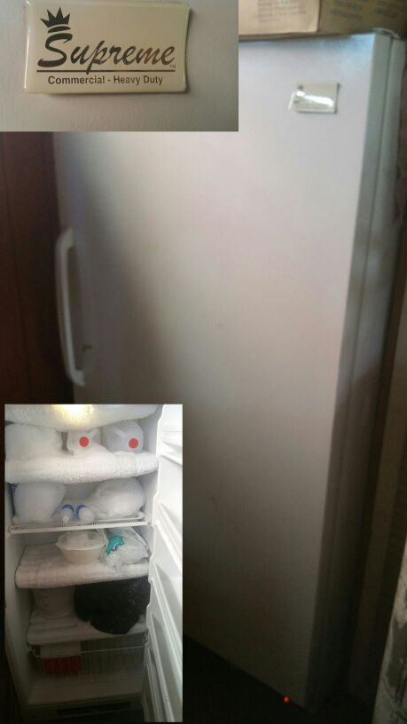 Supreme Commercial Heavy Duty Freezer Just Me And Supreme
