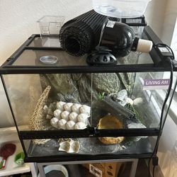 Reptile terrarium 
