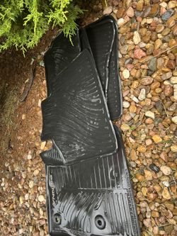 Toyota Sienna All Weather Mats
