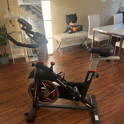DMASUN Stationary Exercise Bike 8702 